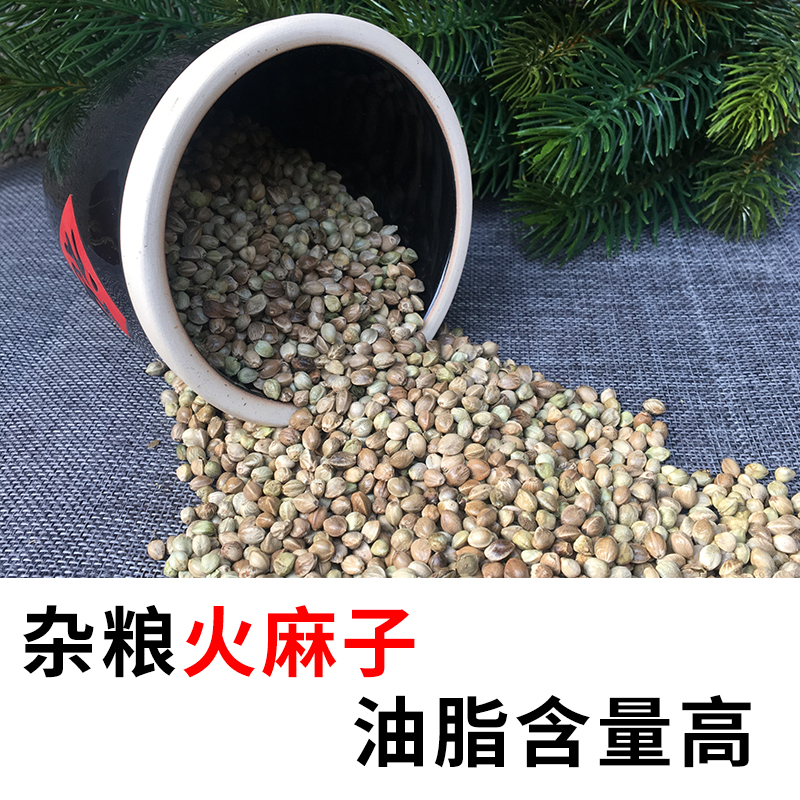 Ten miles of flame squirrel king gold - flower grain of Huangshan Huangshan Harden Harder nutritional omni