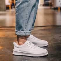 Spring Joker white board shoes couple small white shoes men Korean version of the trend inside Mens shoes thick soles casual tide shoes