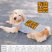 Черно -белый полосатый без рукавов Супер Жесткий