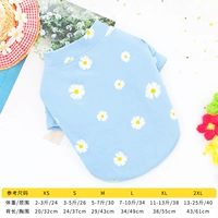 Синяя ромашка в небе