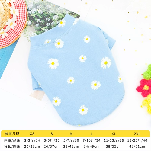 Интернет -знаменитость собачья одежда осень и зима тонкая кошачья плюшка бишон медведь Померанский щенок маленький собачий домашний животный осенний