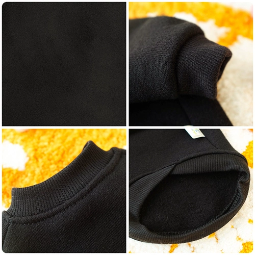 Смешная боевая борьба осень осень и зимний багол борьба с Буллоном маленькие и маленькие домашние животные домашние животные щенки щенка осень