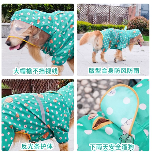 Дорога собака Большой собака среднего цвета