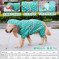 Зеленый плащ с фруктами в горошек Big Dog