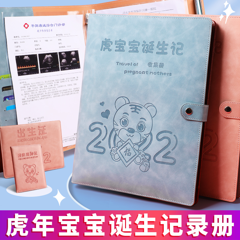 Pregnancy Test Report Single Contained Album Cute Pregnancy Mother Pregnancy Portable B Super Pregnancy Woman Check Pregnancy Test File Album Report Single Collection Information Record Cashier Bag Folder a4 Large Capacity
