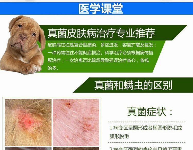 Pet nấm pyoderma ngứa kem chống viêm chó và bệnh da mèo loét phát ban phát ban chó chống viêm giết chết kem - Cat / Dog Medical Supplies Súng tiêm thú y