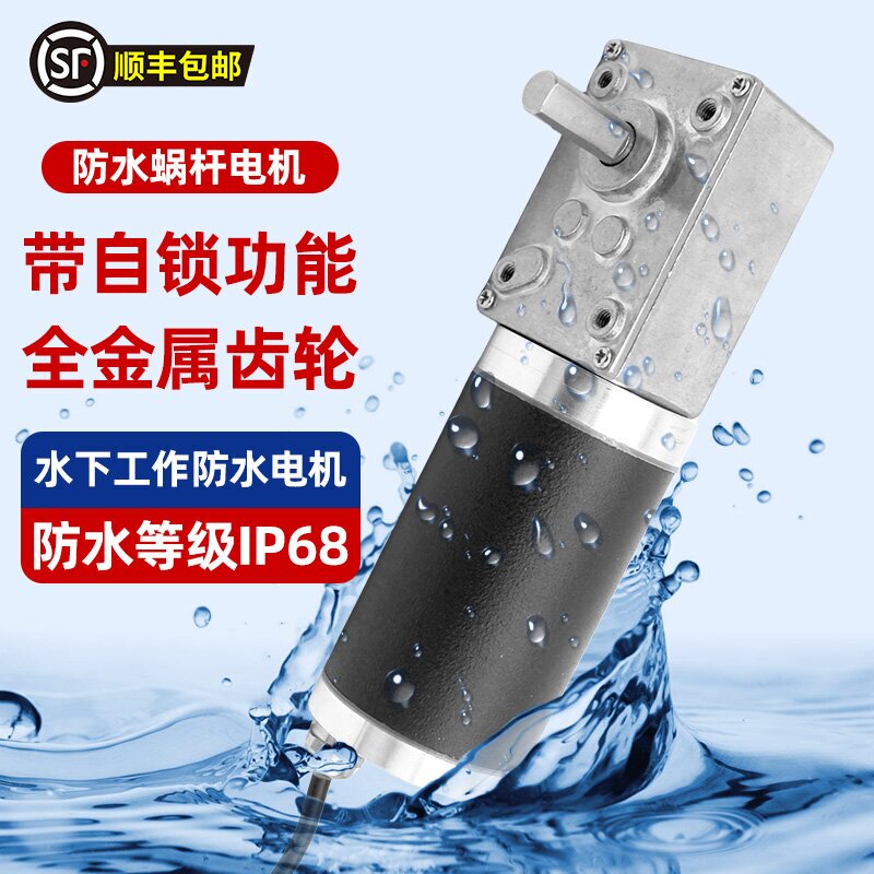 Zh5840-42 Waterproof Grade Ip68 Reduction Motor Metal Gear Worm Gear Dustproof Submersible Motor