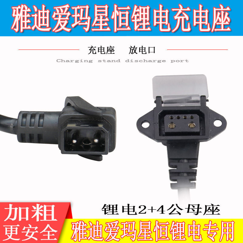 Emma Mavericks electric car Tieneng Xingheng lithium battery 2 4 charging port plug power cord charger adapter