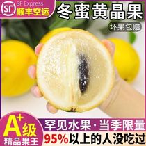 Topaz fruit golden fruit Asian American fruit boutique local fruit non-passion fruit egg yolk fruit SF rare fruit for pregnant women