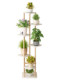 Trendy Flower Stand for Balcony, Floor-Standing Solid Wood Shelf, Special Flower Stand for Succulents, High-End Green Plant Display Rack for Living Room