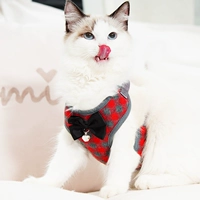 Красная сетка