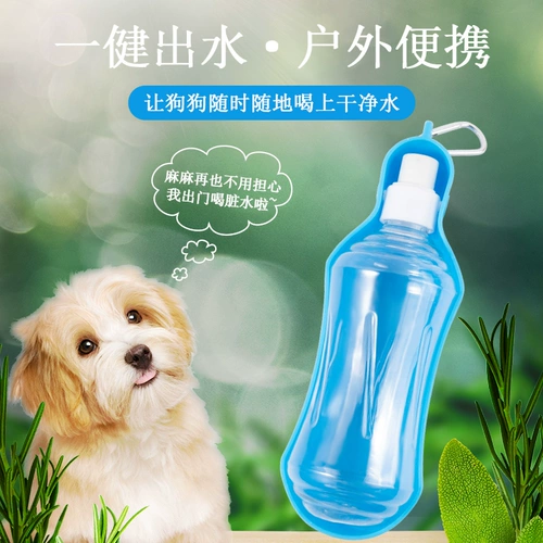 Собаки и кошки выходят, чтобы выпить чайник и взять чашку с водой, чтобы выйти, чтобы пройти питьевую воду для питомца и выпить водонагреватели.