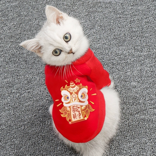 Осенняя и зимняя одежда для кошек Новогодние Новогодние собака теплый голубой кот котенок котенок безкрыть кот анти -хар