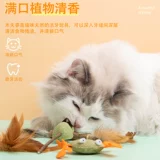 Игрушка для кошки му Мусианья Мятный мяч Мятный мяч Смешная кошка Жирная мышь мыши с мышими мыши