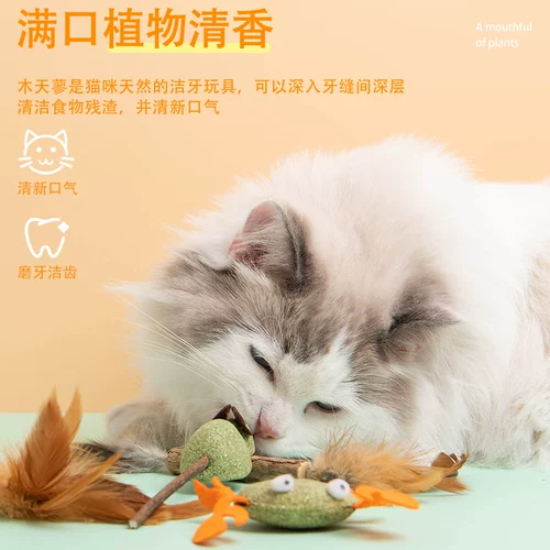 Игрушка для кошки му Мусианья Мятный мяч Мятный мяч Смешная кошка Жирная мышь мыши с мышими мыши