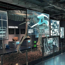 Laser engraving glass partition luminous signboard exhibition hall science wall advertising signage entrance partition art glass