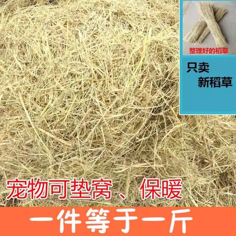 Straw Hay Bedding for Rabbits, Winter Grass for Dog Nests, Chicken Pet Bedding, Natural Dry Straw, Wheat Straw, Grass for Warmth