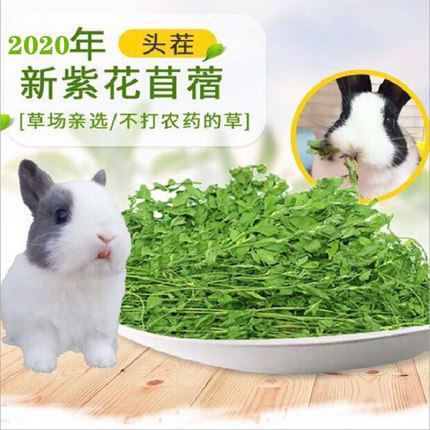 Alfalfa grass 2022 new grass natural dry alfalfa grass baby rabbit totoro guinea pig rat 1KG pet food grass