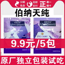 Bernatian pure try to eat as cat food and young cat food English short and beautiful short blue cat cat gain fattening and blush nebbible