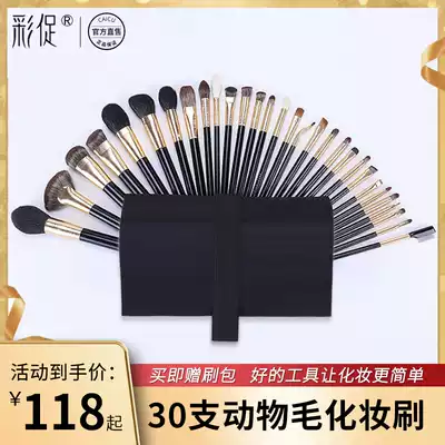 Professional makeup brush set tools full set of high-grade animal hair makeup artist special high-grade wool real wool super soft
