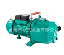 Deep well water pump automatic high suction range 20 meters 30 meters double tube pump Household self-priming pump jet pump 220v