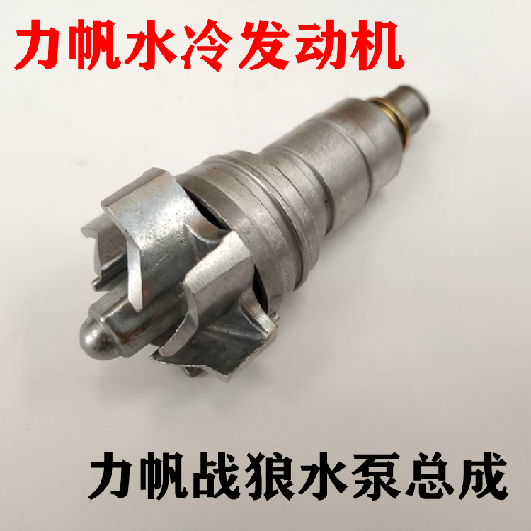 Lifan Engine Lifan Wolf Warrior 200 250 300 Water Pump Assembly Water Cooled Engine Water Pump Assembly