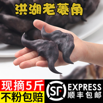 Honghu water chestnut fresh raw angular powder glutinous old water chestnut farmhouse Hubei specialty Black Lingjiao vegetable 5kg