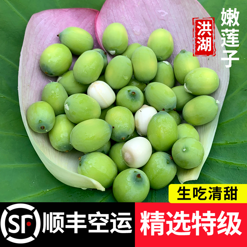 Huong Lake tender lotus seed rice fresh lotus fluffy rice now found to be eaten in the season with the spot fresh sweet lotus seed rice 3 catties fruit