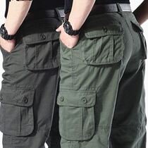 Work clothes Pants Straight Cylinder Loose Wear Labor Retention Pants Spring Autumn Casual Workwear Pants Men Electrowelded Labor Pant Pants