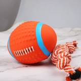 Собачья игрушечная игрушка мяч Тедди Фасун щенка