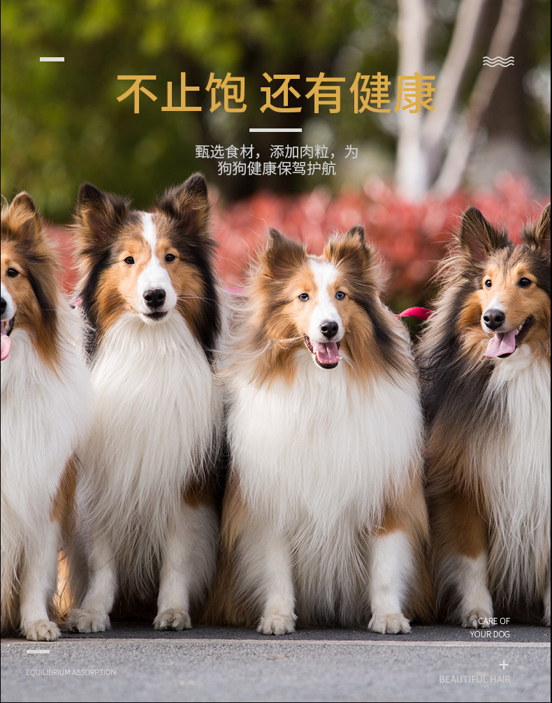 卡鲸盾 全犬通用型 牛肉味 狗粮 3斤 图4