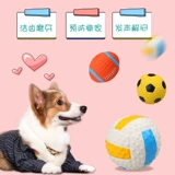 Собачья игрушечная игрушка мяч Тедди Фасун щенка