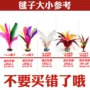 Feather Duster Bộ sưu tập lớn dành cho người lớn Trẻ em Thể dục Màu ngỗng Cuộc thi Trường tiểu học Feather Ball Hoa lớn - Các môn thể thao cầu lông / Diabolo / dân gian quả cầu đá lông công