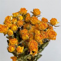 Multi-head rose dry flower bouquet Flowers Bouquet Long Bubble Roses Rose Ornamental Artworks Real Flowers Decorum Grilled Dry Rose