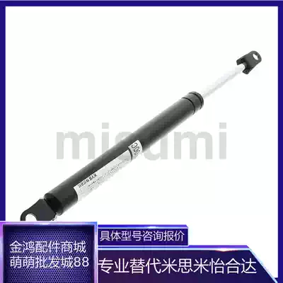 Timis gas spring FGS15049 69 89-030-055-070-085-150-050-080-100