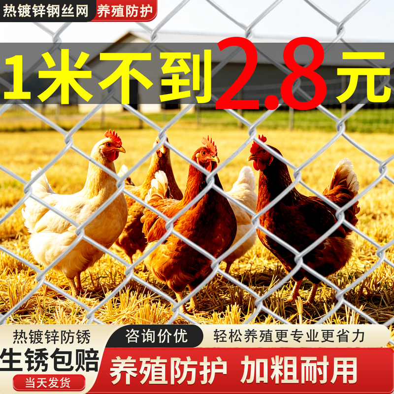 Hot-Dipped Galvanized Iron Wire Mesh Fence, Breeding Net, Steel Wire Mesh, Chicken, Duck, Sheep Outdoor Fence, Protective Hook-And-Loop Isolation Net