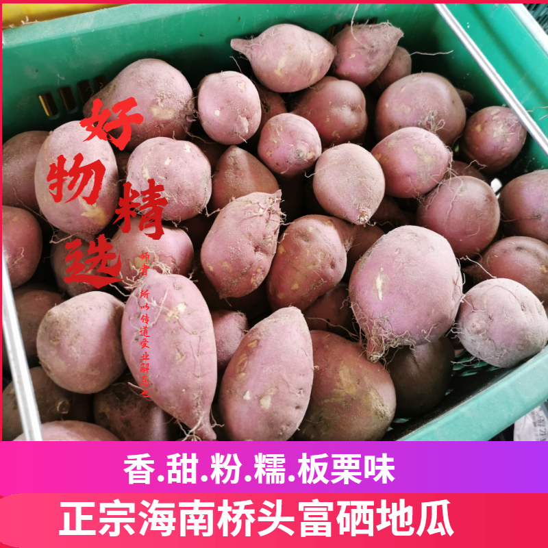 海南澄迈沙地富硒地瓜 净重9斤 图2