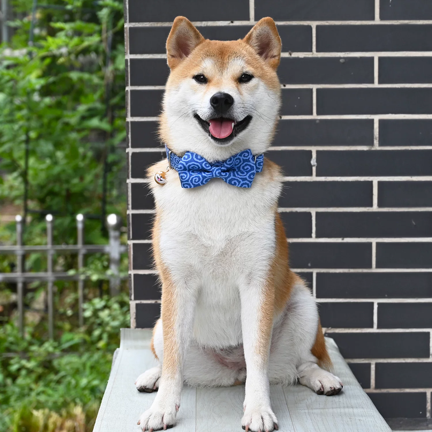 «/Rui Chai Limited/Yellow Tang Grass pattern Japanese -style collar neck Circle Circles Triangle Triangular Bare Shiba Inu Dog Traction Rope»