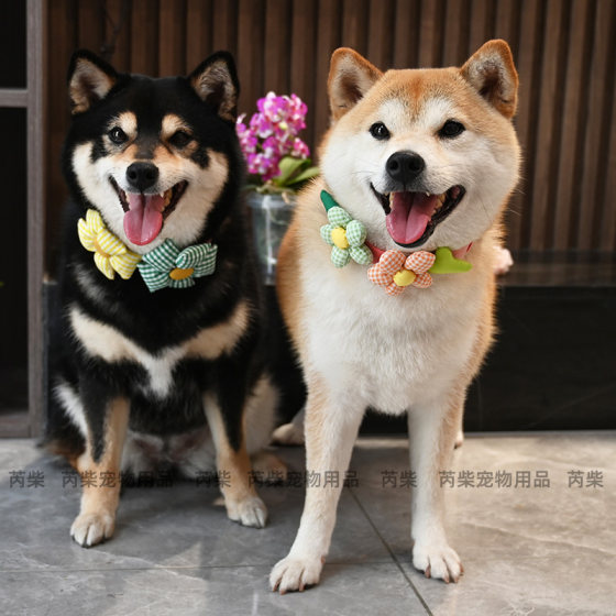 花花世界/宠物狗狗猫咪柯基泰迪柴犬领结小清新格子脖圈围脖饰品