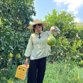 客家妹沙田柚的LOGO