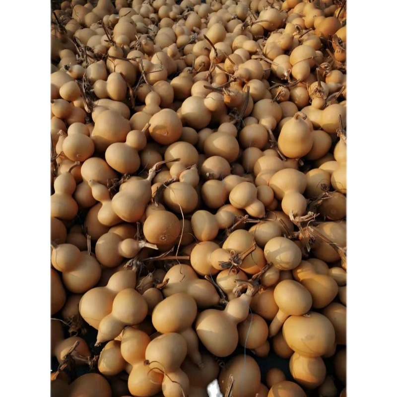 Wild natural hand twirl American small Hulla-shaped general text Play Pendulum to Play Hyacinth Without Blemish-Taobao