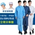 Quần áo không bụi chống tĩnh điện làm sạch chống bụi bảo vệ quần áo chia thoáng khí cho nam thanh lọc cơ thể màu xanh phun sơn yếm quần áo tĩnh điện quần áo tĩnh điện 