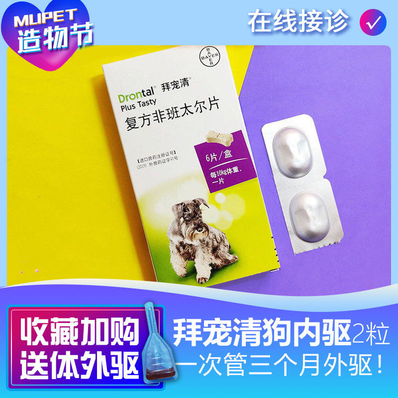 Bayer dog body insecticide 2 taddy gold fur Chenary Haschimum Beast Park