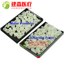 Dental Material Temporary Crown Tooth Type Oral Dentistry Grilled Porcelain Tooth Temporary Crown Front Dental Crown Back Tooth Temporary Crown