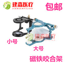 Dental Meshing Rack Oral Full-Mouth Magnet Biting Jaw Rack Clams Cohort Mechanics Plaster Anatomical Size
