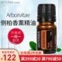 doTERRA Dotray arborvitae tinh dầu Arborvitae tinh dầu đơn phương Trang web chính thức của Mỹ chính hãng 5ml - Tinh dầu điều trị tinh dầu xông phòng