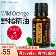 Tinh dầu hương cam tự nhiên Dotray một mặt Wild Orange sạch không khí doTERRA trang web chính thức 15ml chính hãng - Tinh dầu điều trị