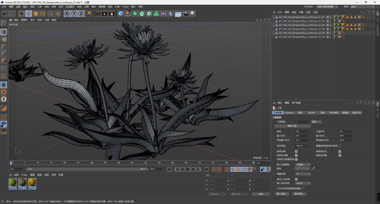 图片[2]-C4D黄花照波多肉植物FBX熊童子OBJ星乙女Maya爪玫瑰水晶掌月兔耳-cg男孩