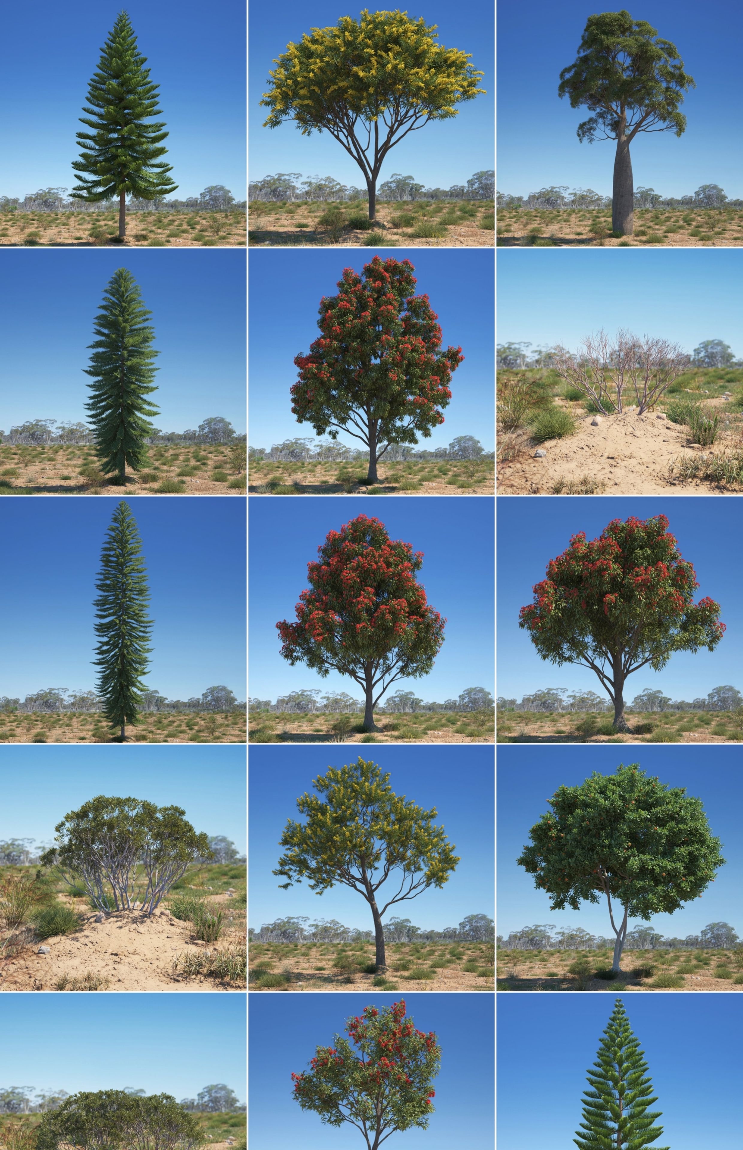 图片[5]-C4D景观植物FBX大树Blender树木Maya绿植三维3D模型-cg男孩