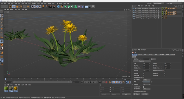 C4D黄花照波多肉植物FBX熊童子OBJ星乙女Maya爪玫瑰水晶掌月兔耳-cg男孩